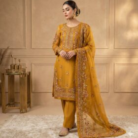Women's Stitched Suit - 3 Pcs Hand Embroidered with Organza Dupatta(mk)