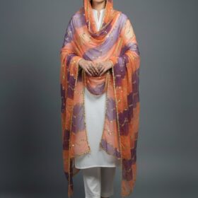 1 Pc Women's Stitched Organza Embroidered Dupatta(mk)